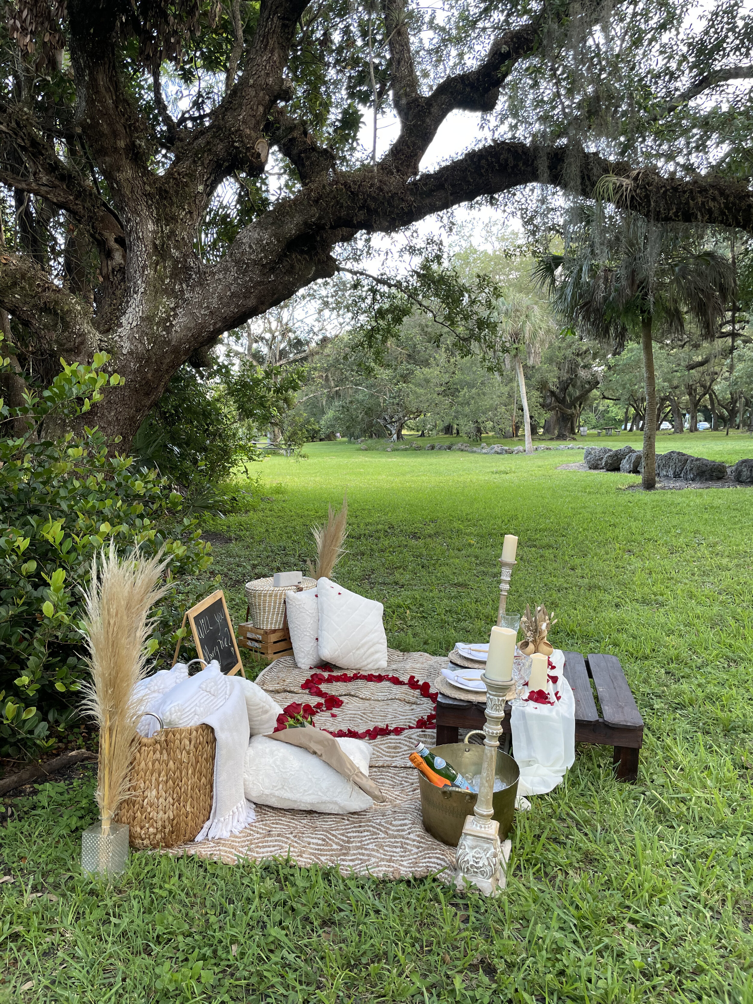 Luxury Picnic Miami Proposal