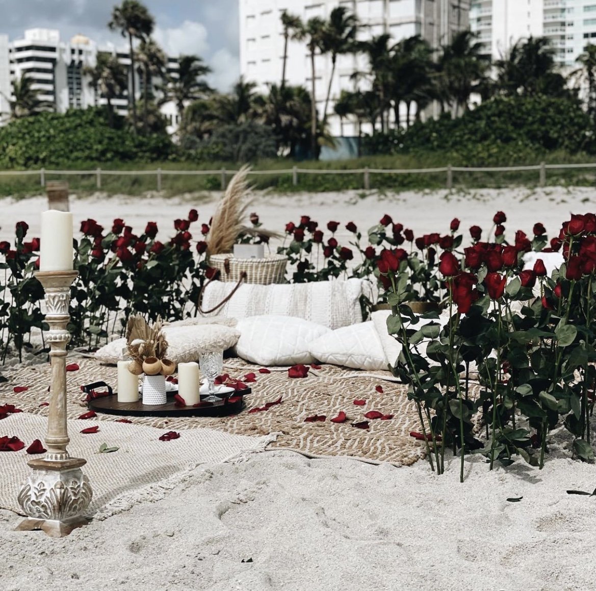 Luxury Picnic Miami Proposal