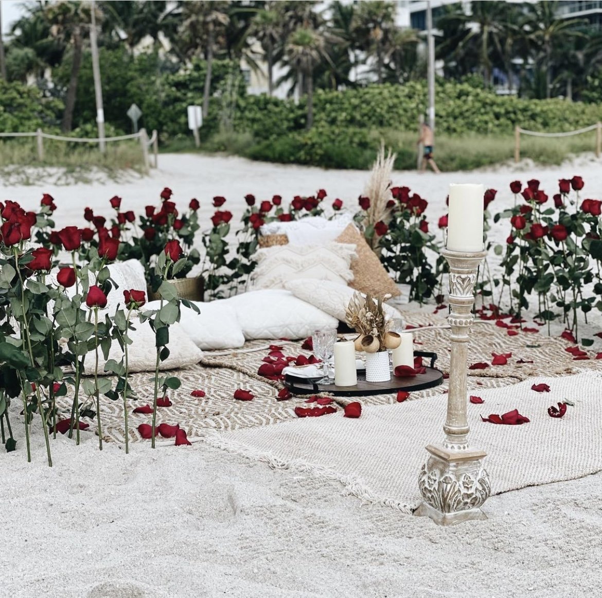 Luxury Picnic Miami Proposal