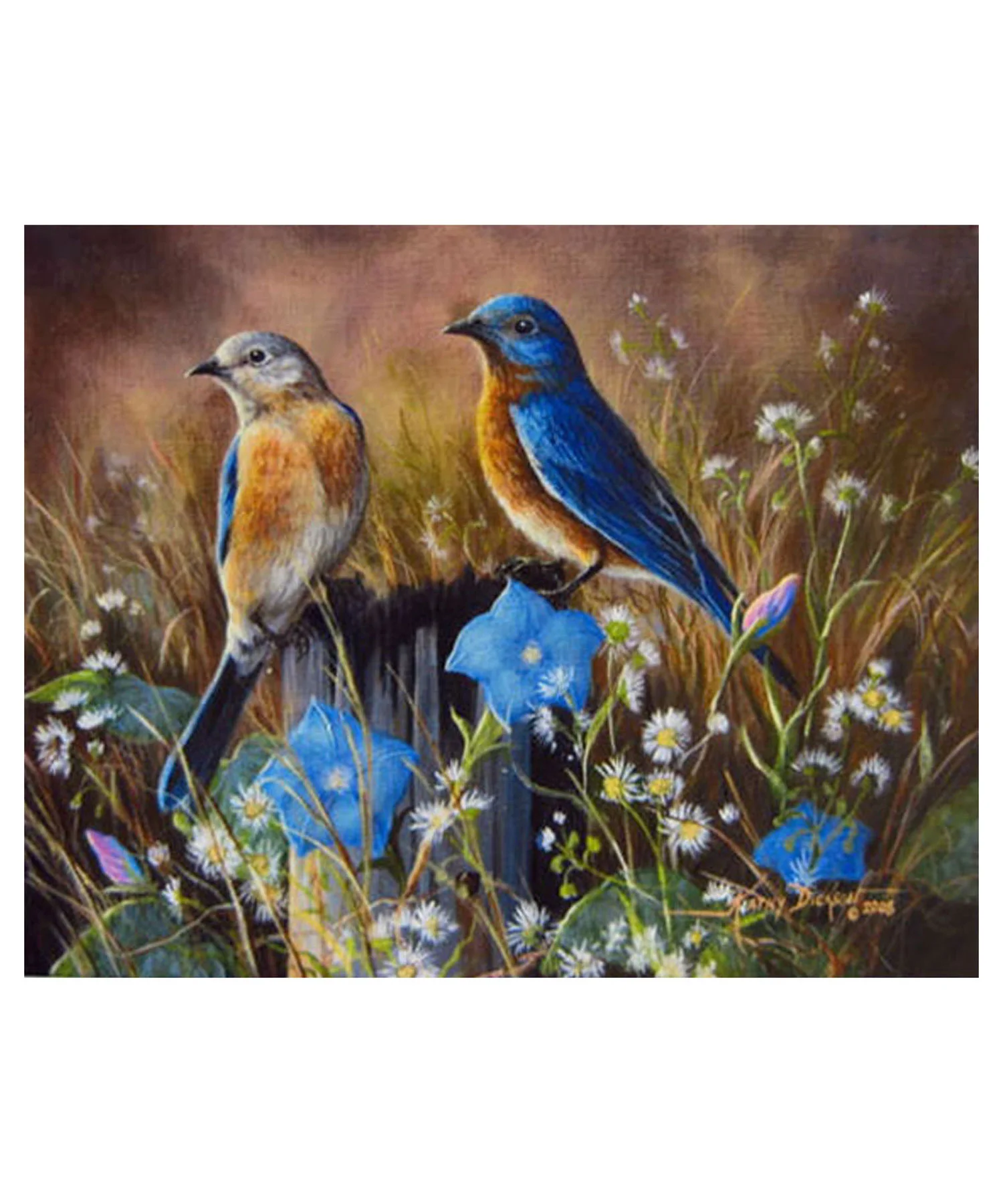 kdbluebirds-afd.jpg