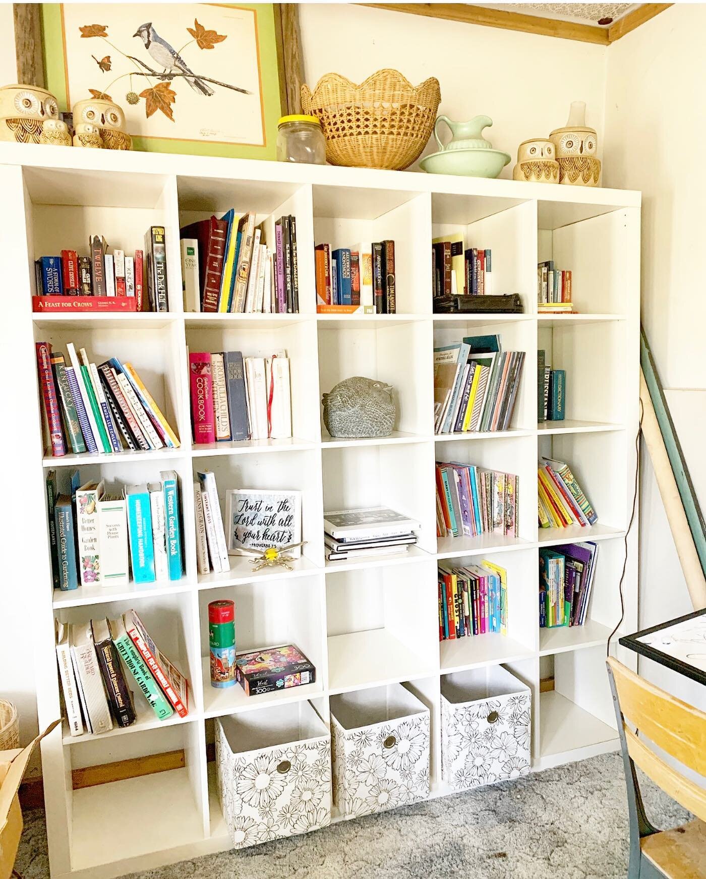 Family library area coming in hot!
Also.... peep those incredible owl canisters from @the_merq !!!! I&rsquo;ve finally found a home for them and am so in love. 
.
.
#homeschool #library #school #homeschooling #interiordesign #charlottemason #thirdgra