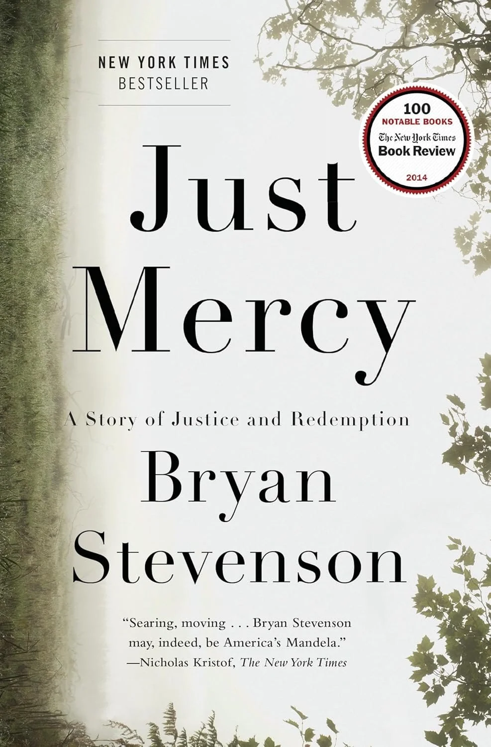 Just Mercy book cover.jpg