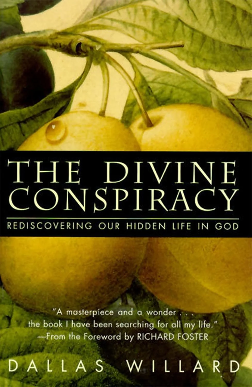 The Divine Conspiracy book cover.jpg