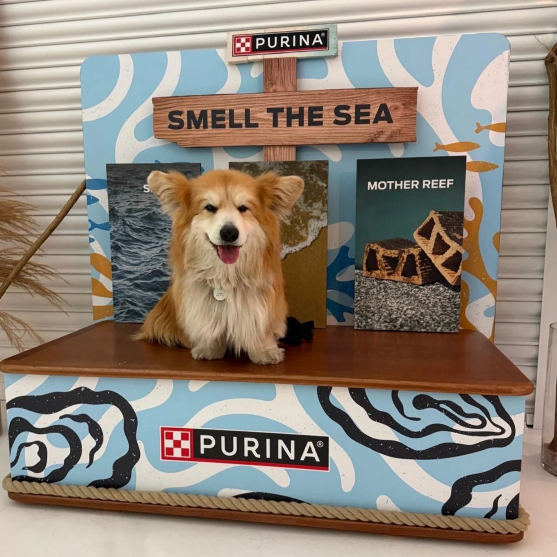 From concept to coastline 🌊🐚🐶

We loved bringing this interactive Purina activation to life, a custom built &ldquo;Smell The Sea&rdquo; station designed to spotlight the redevelopment of the Norfolk coastline and support marine habitat restoration