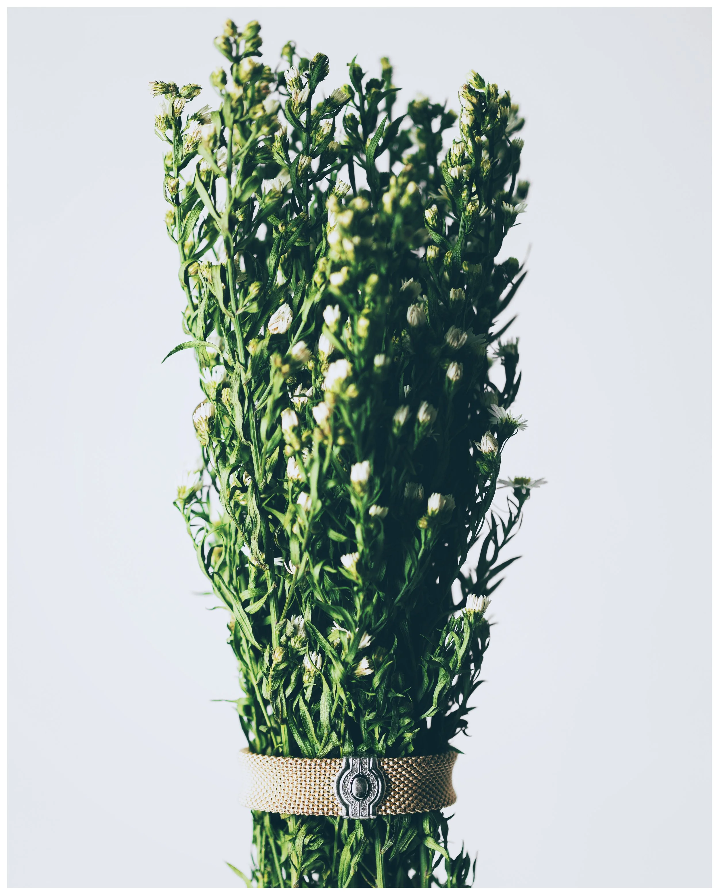 lauren-19 Edited.JPG