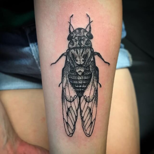 Something different. Thanks for the trust Madison.