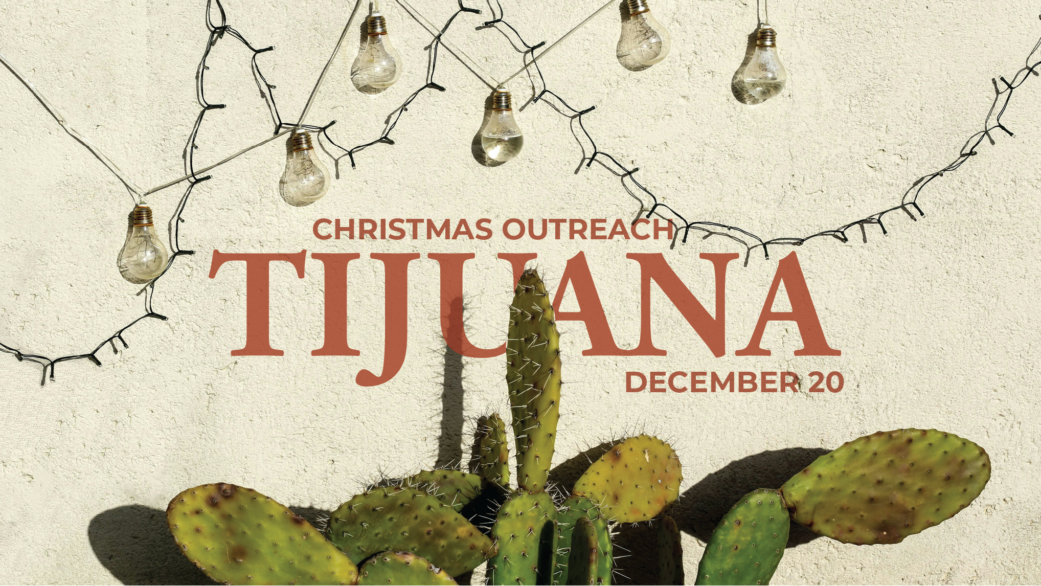 TJ Christmas x 25-LED.png