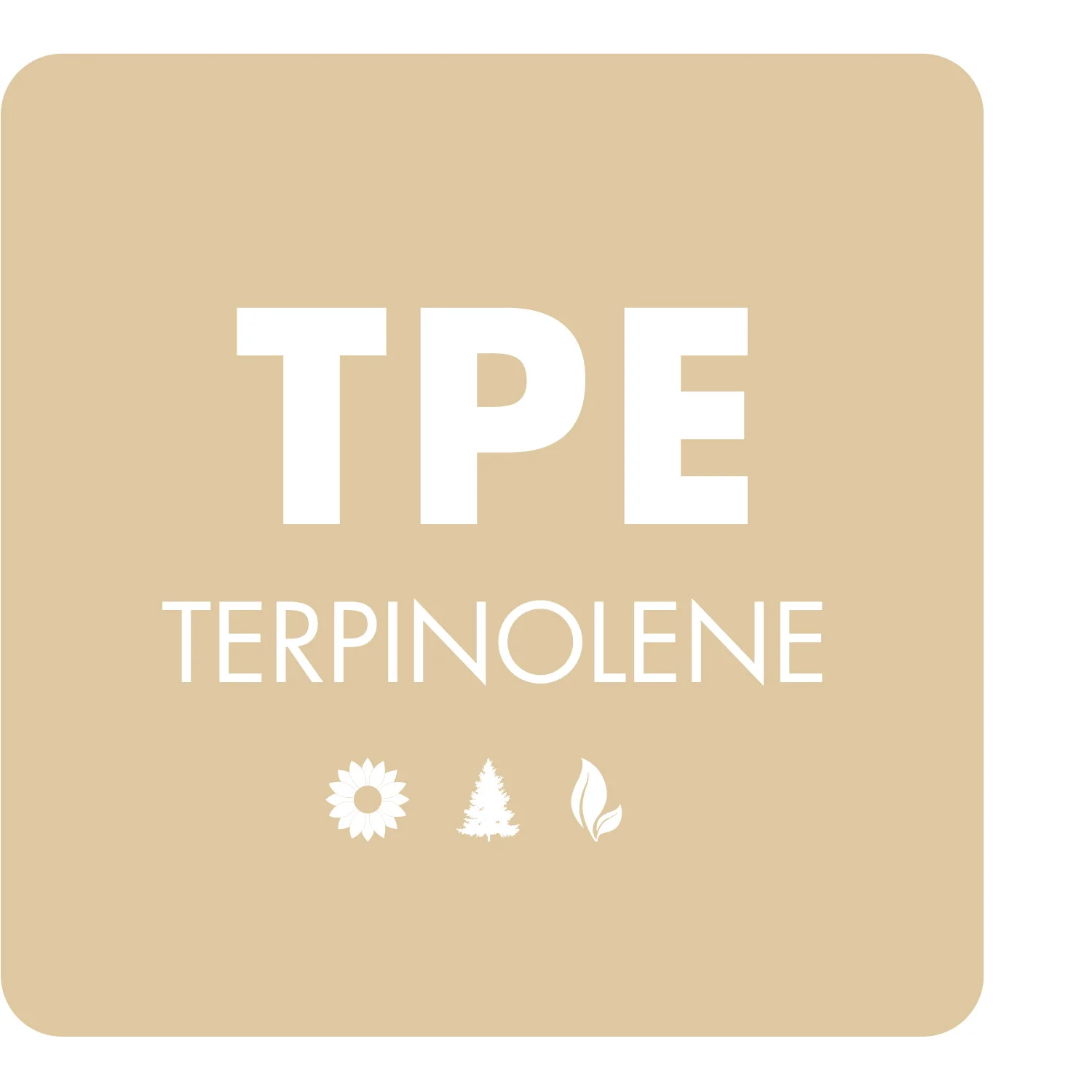terpenes recipes.jpg