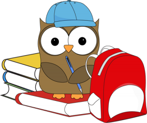 school-owl-300x250.png