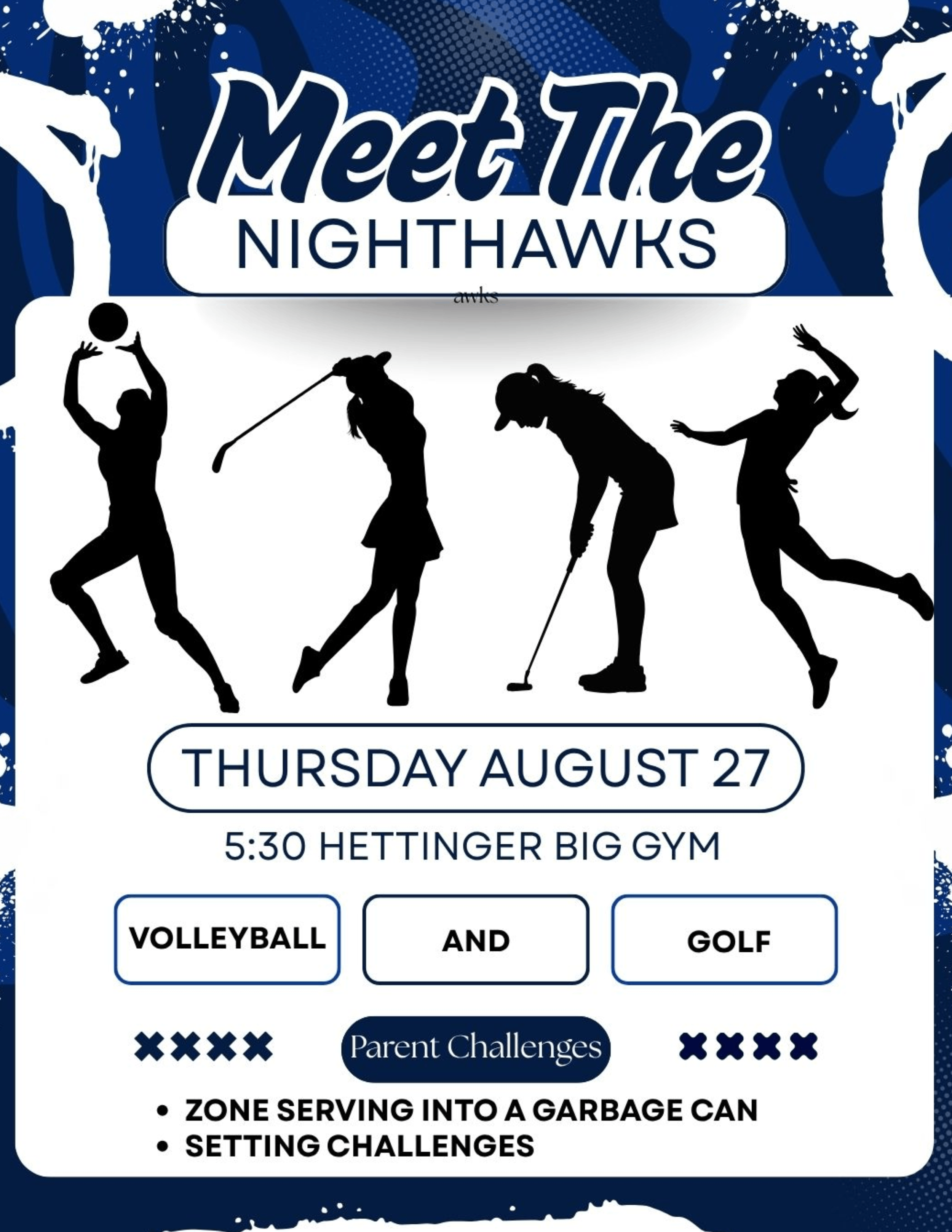 Meet The Nighthawks Girls.png