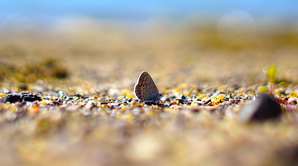 New Photography Class Finds Focus