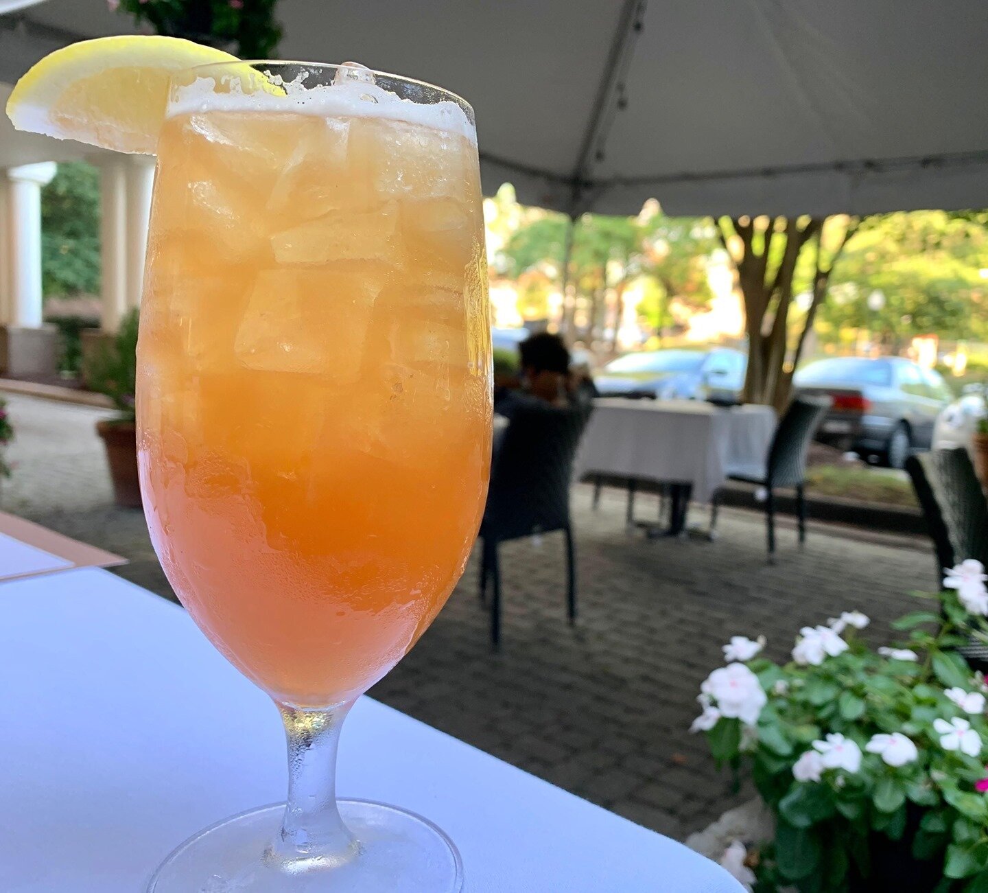 A cocktail with a touch of southern summer is a refreshing twist on a classic. The Peach Palmer is made with @larcenybourbon, lemon, peach syrup, and sweet tea.⠀
.⠀
.⠀
.⠀
 #ilpalionc #thesienahotel #visitchapelhill #visitnc #italian #italiancooking #