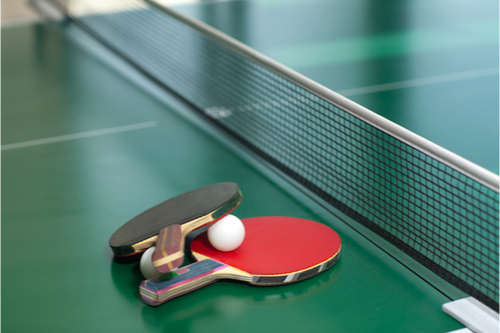 Ping Pong Fun.png