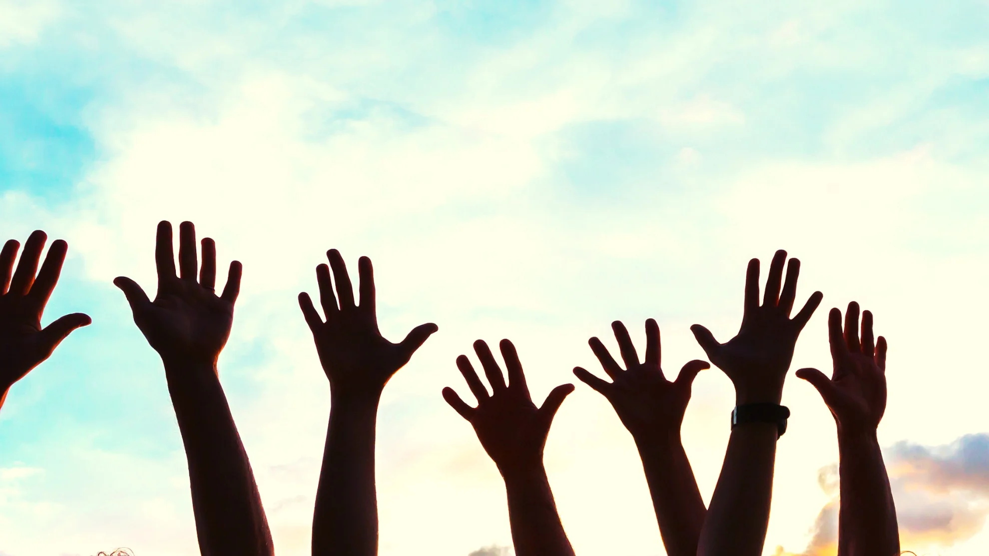 BPRC_header_banner+%283%29.jpg