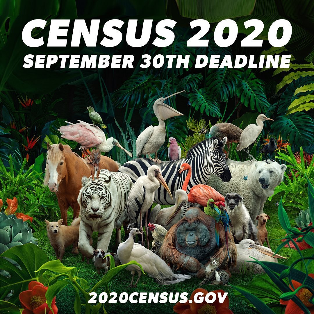 Have you completed your census yet? Wildlife counts on you. So get counted! 🦜🐸🐒🐙🦧🦓🐡🐠Deadline September 30th! 2020census.gov