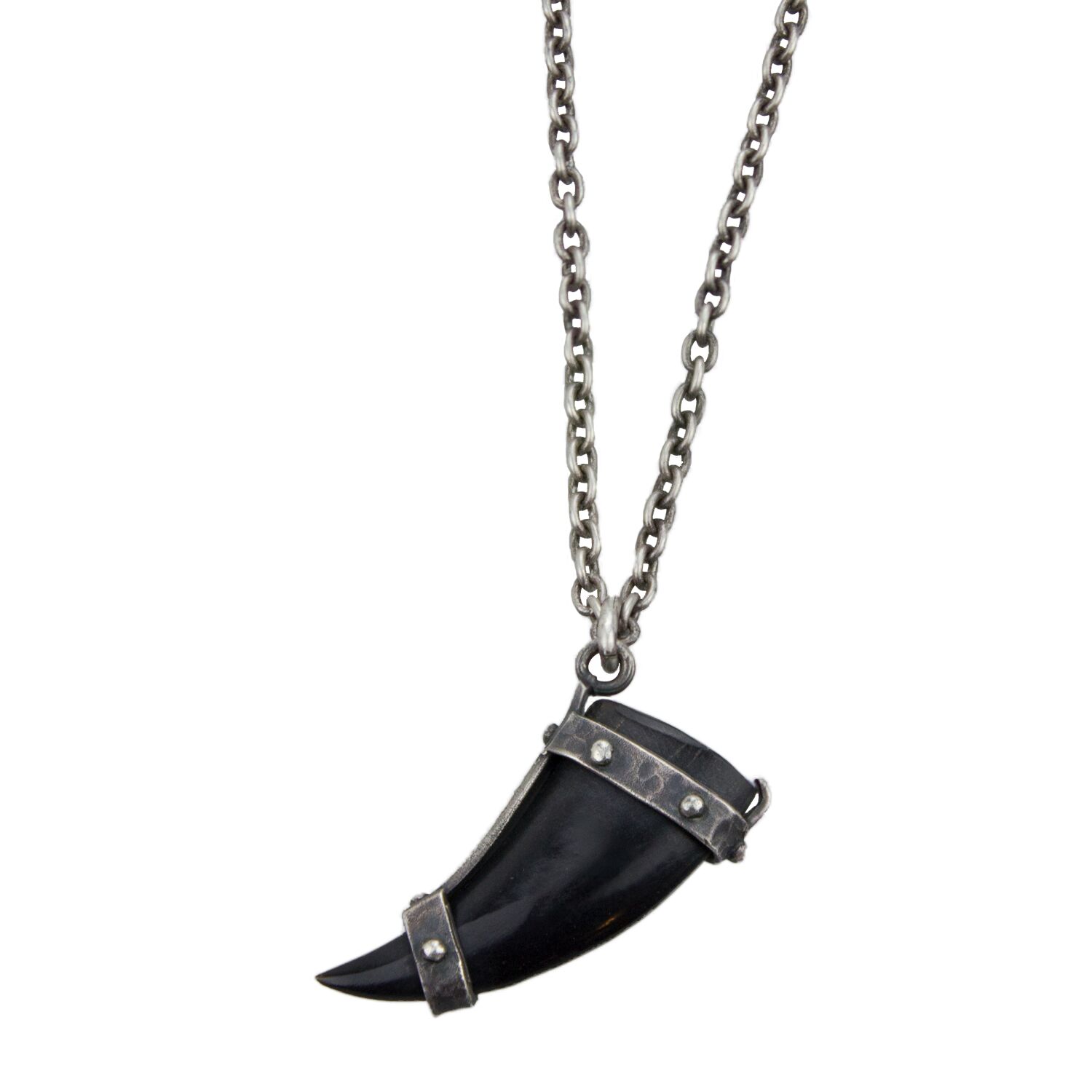 Tamed Horn Tooth Pendant On Silver Link Chain.jpeg