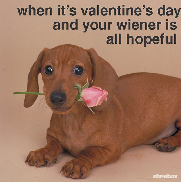 hopeful weiner.png