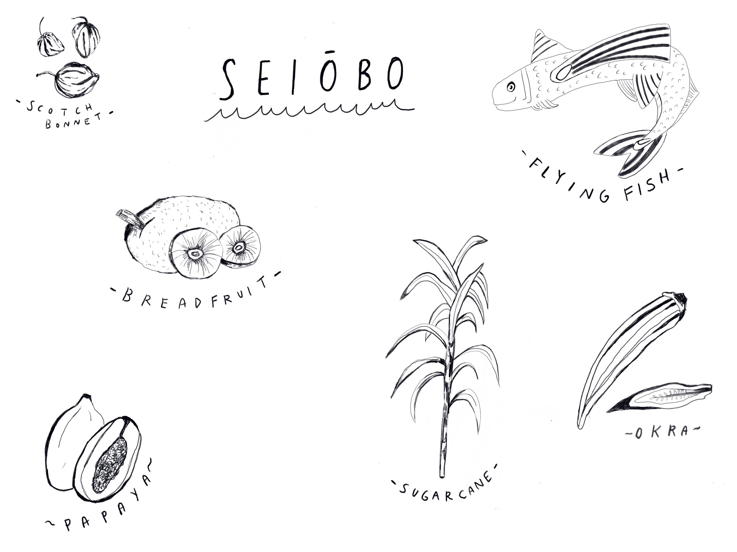 Seiobo illustrations.jpg