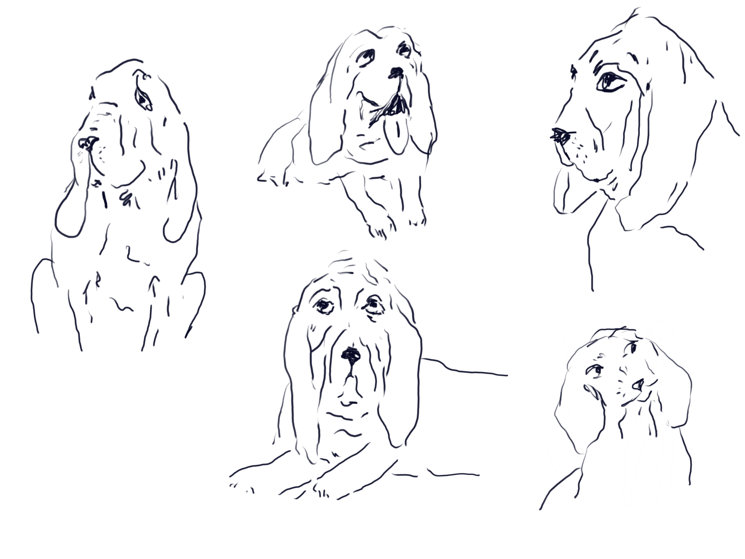 Bloodhounds.PNG