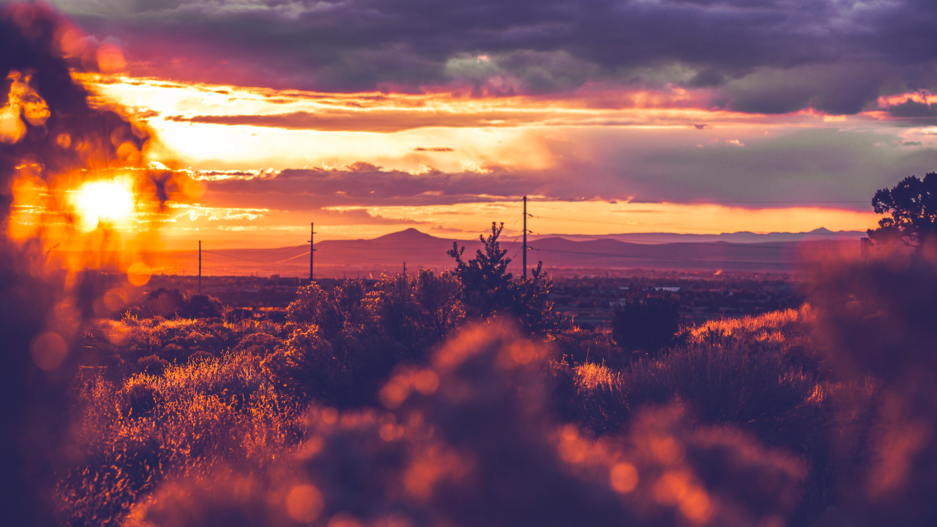 banner_curveofdeparture-adjusted.png