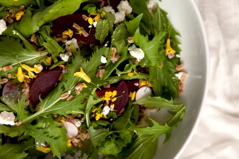 Arugula & Beet Salad