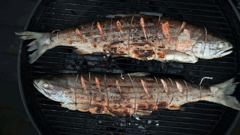 whole-salmon800.jpg