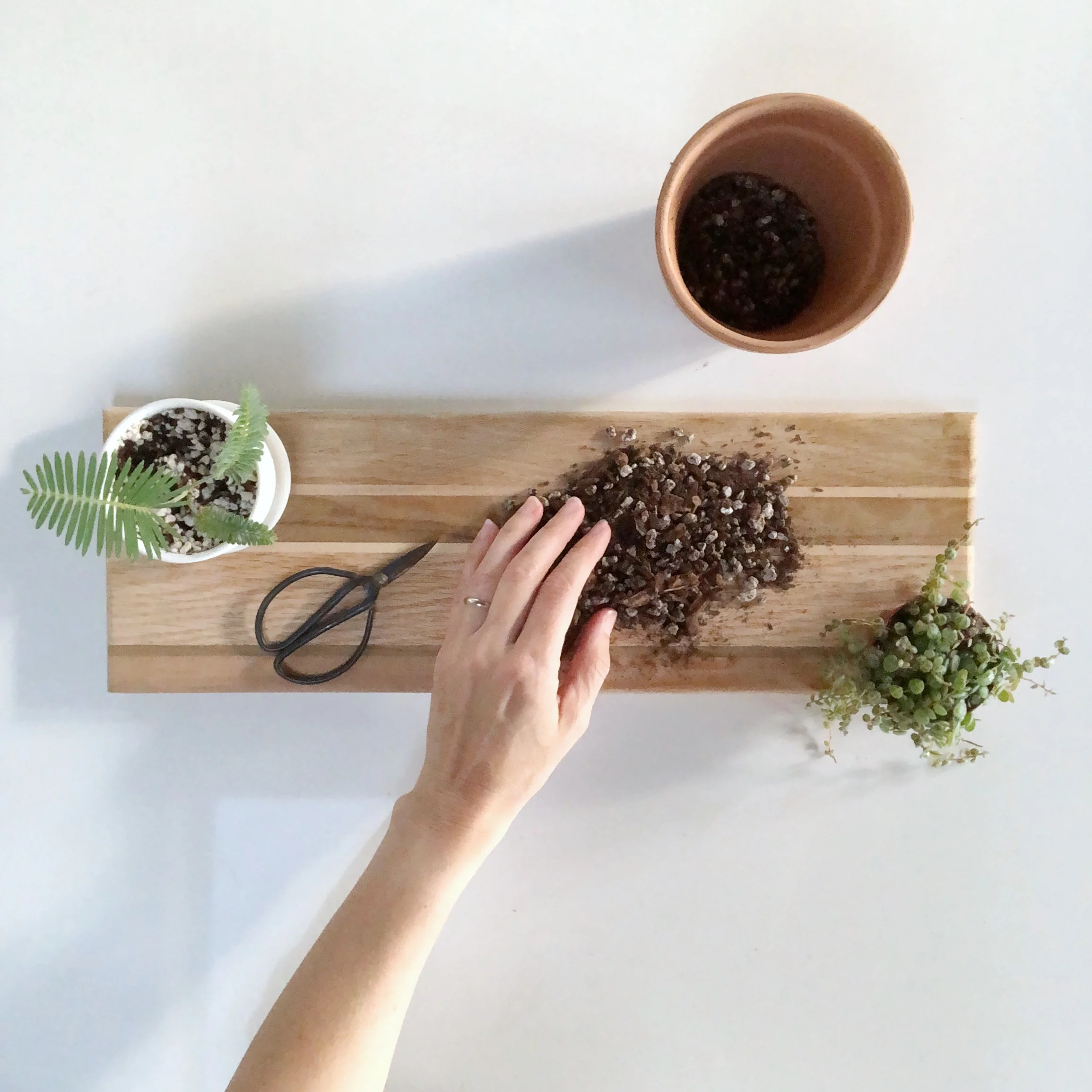 Playing with soil amendments is like being a chef in the kitchen.