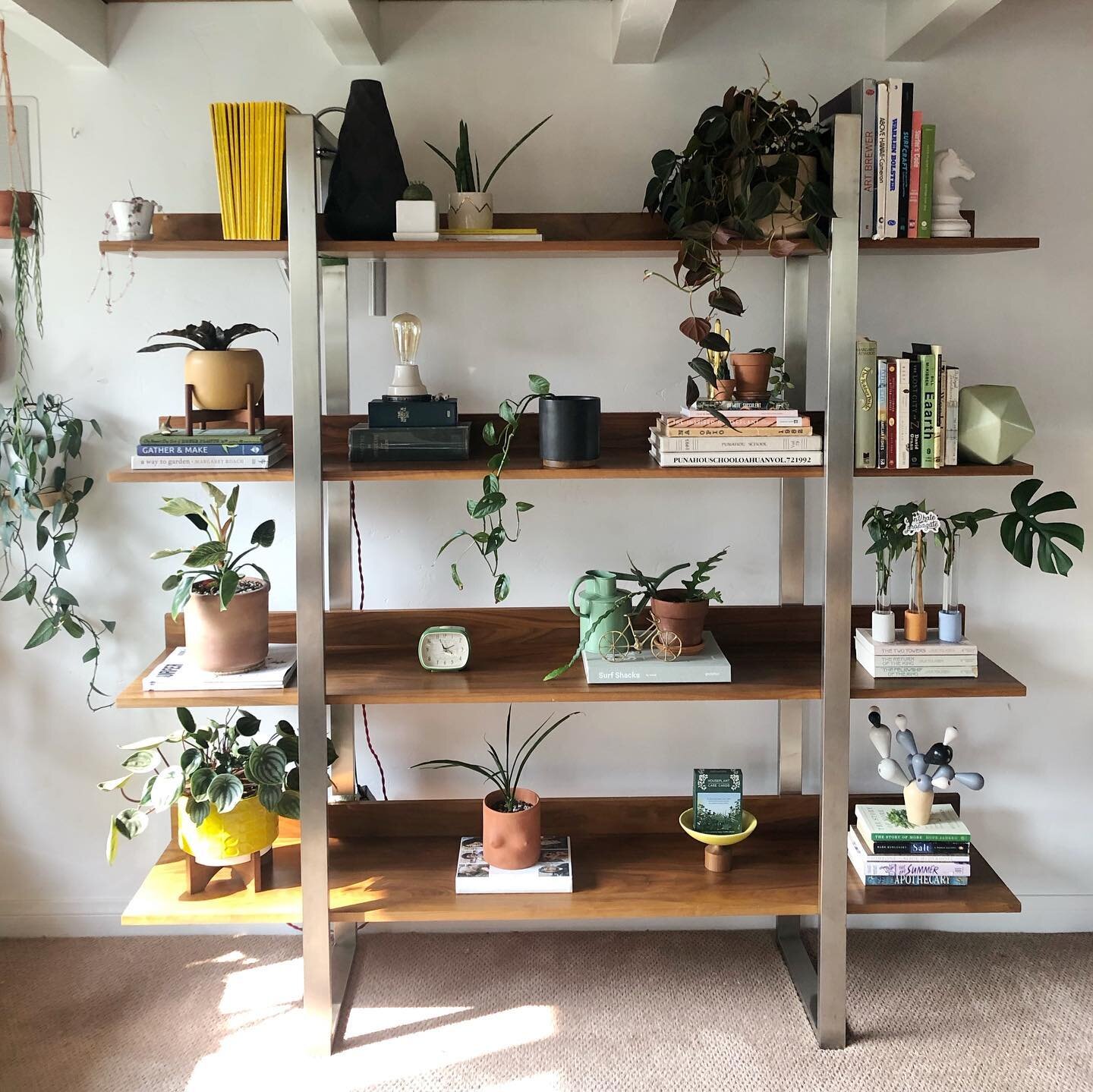 After 👉🏼 before 👉🏼 current. Compromised on the bottom shelf for some toys 🤷🏼&zwj;♀️. I must say I&rsquo;m glad I reclaimed these shelves! If you missed it I showed in last Sunday&rsquo;s post where the grow lights are hiding. Happy Sunday all. 