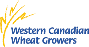 logo-new.png