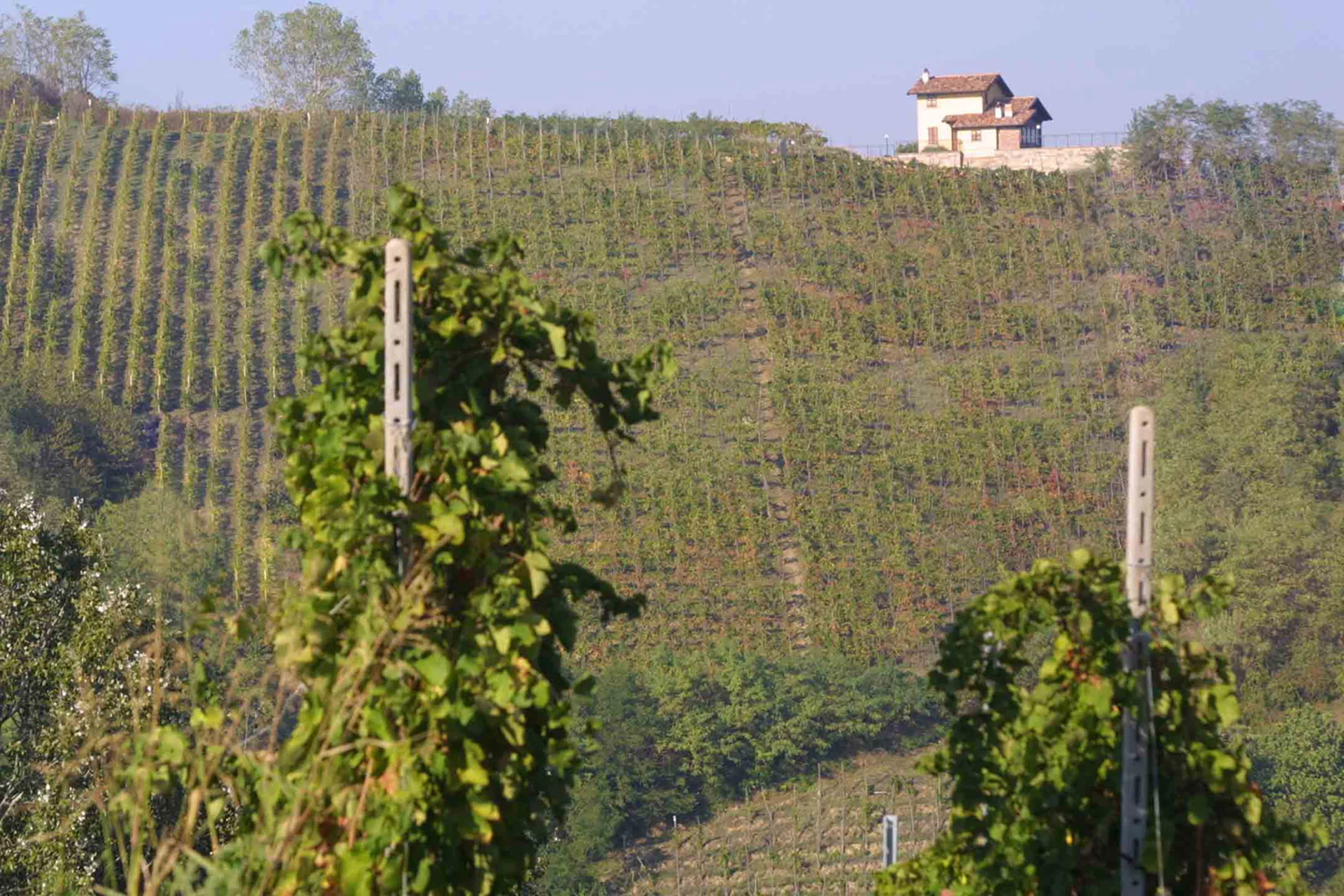 visione podere1.jpg