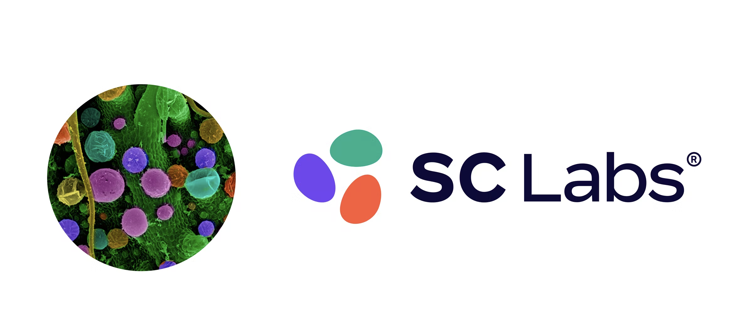 sc-logo.png