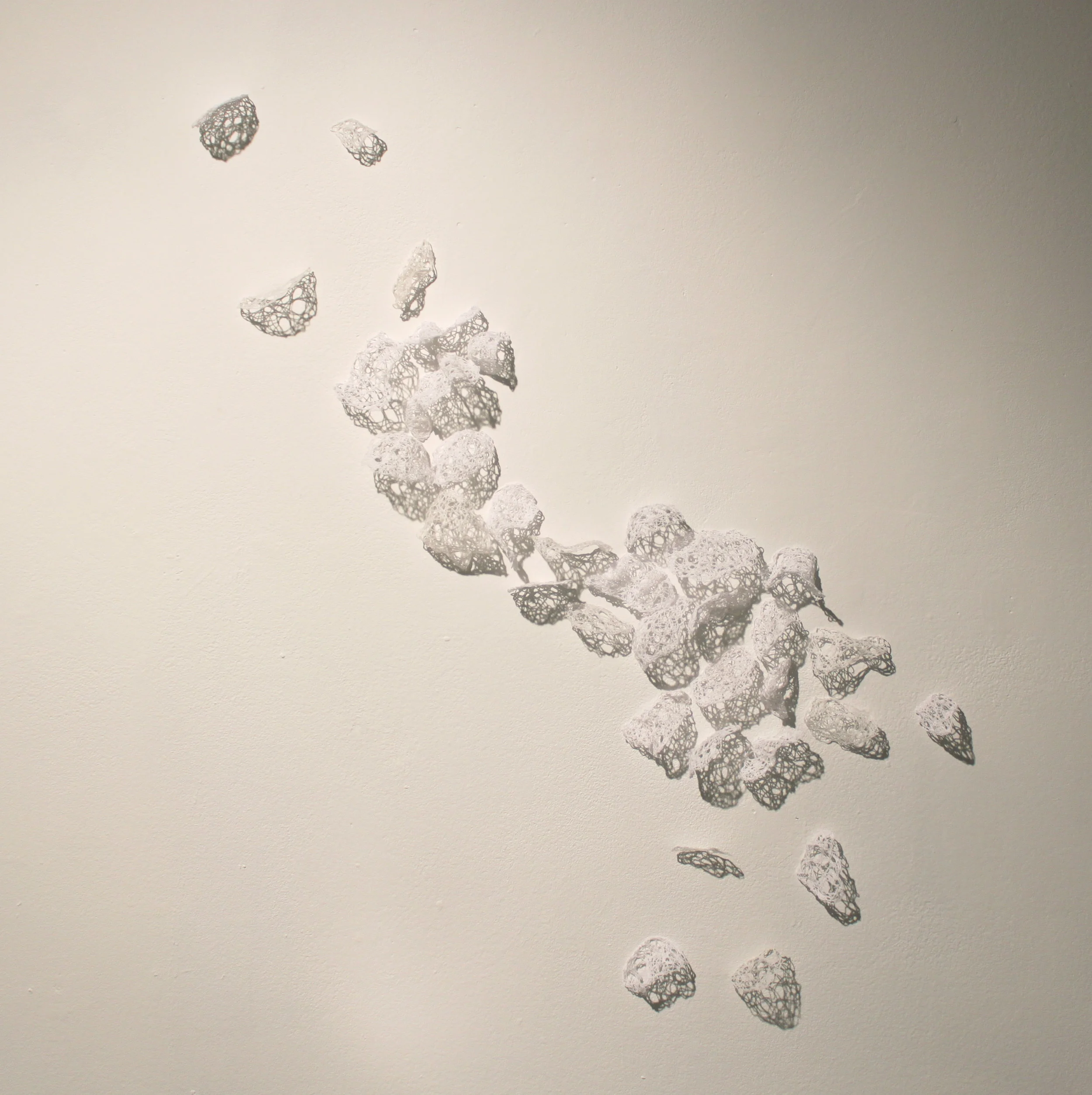   Of Growth and Shadow, Study 2  cotton thread, fabric stiffener variable dimensions 2012 