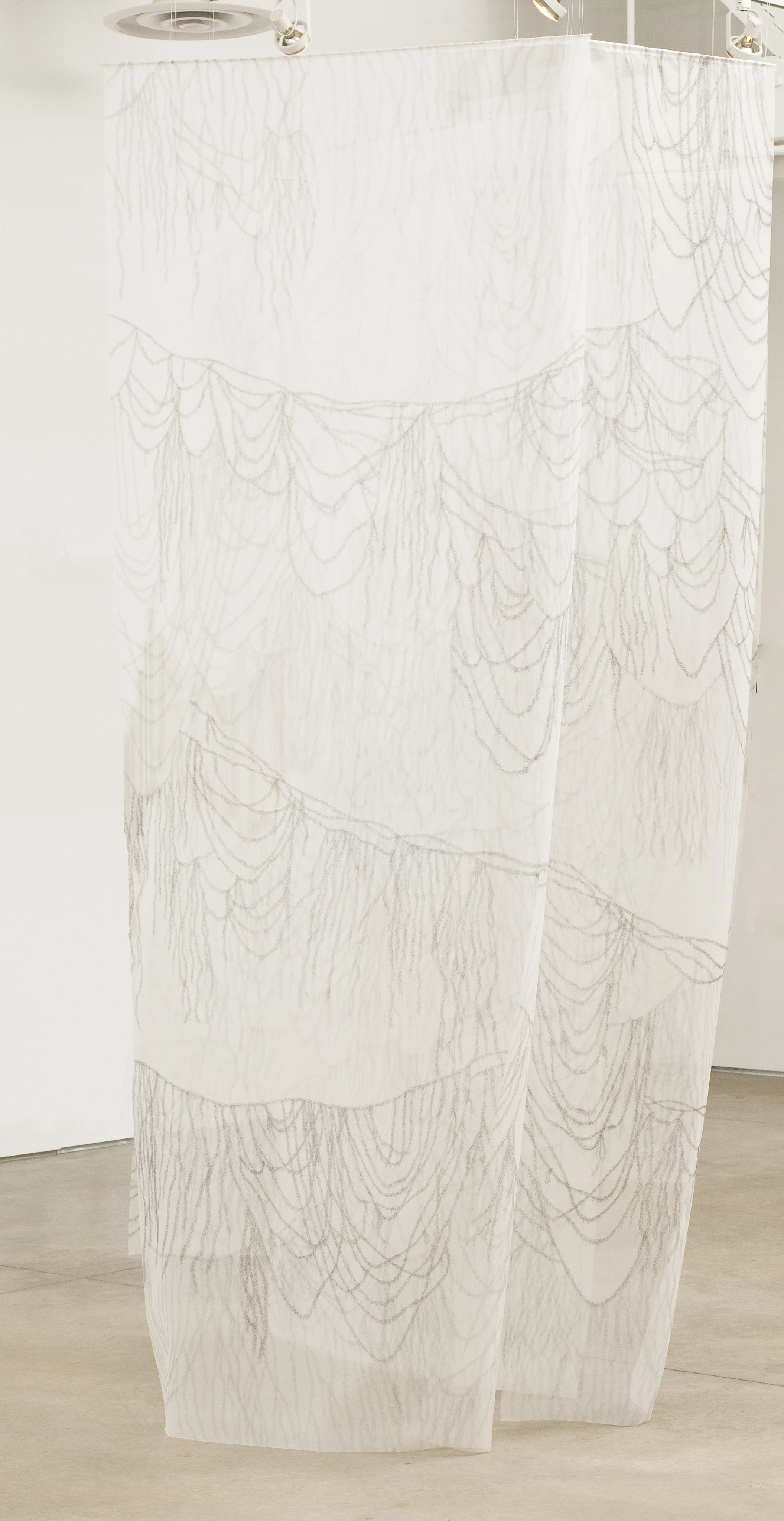   Cultivated Gesture  hand-drawn imagery: inkjet print on organza 69" x 108" x 62" 2012 