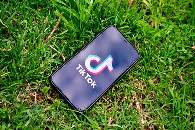 TikTok Counter is Announced by TikTokRealTime.com, the Best