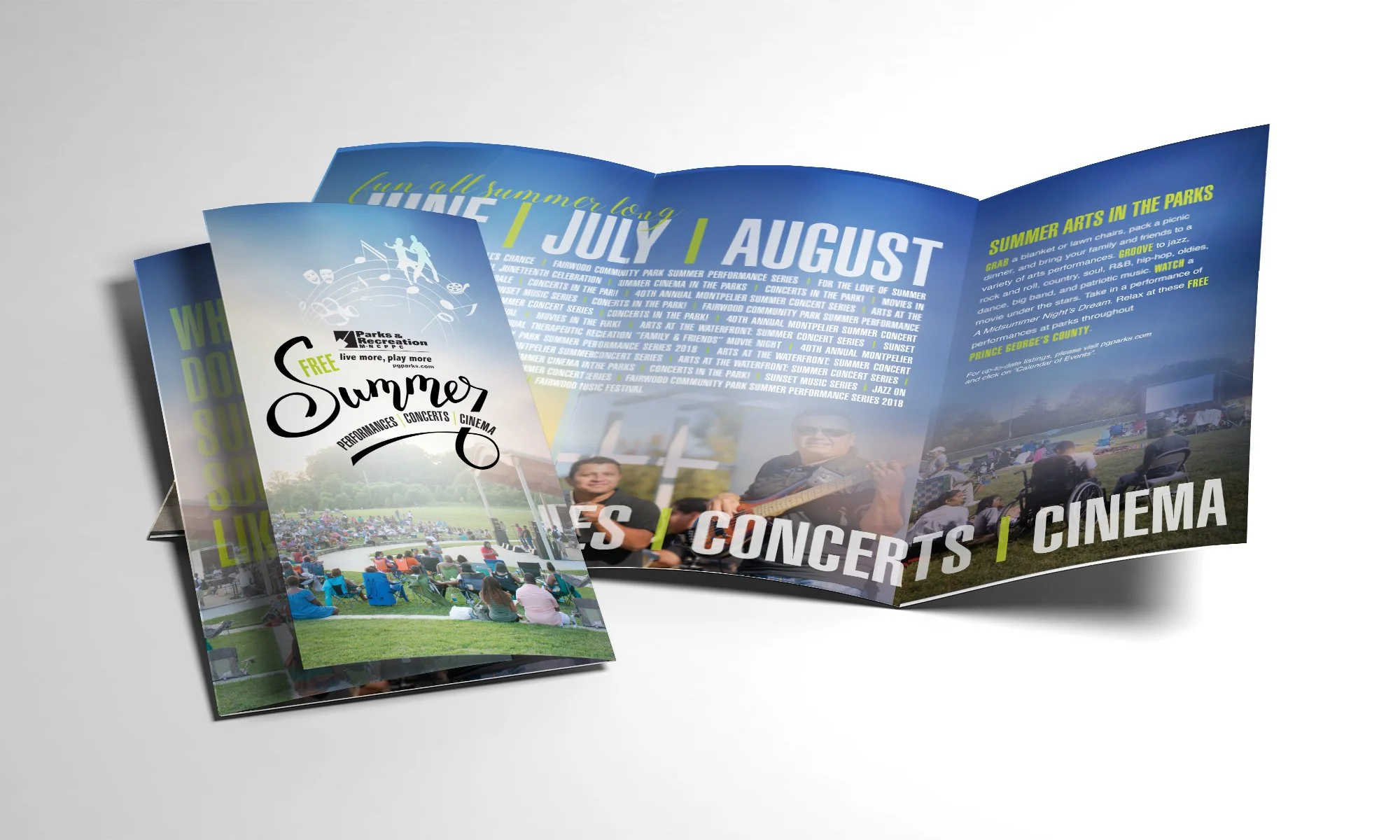 Supplemental Document 3.jpg