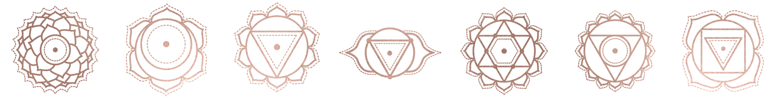 Chakra Study Top.png