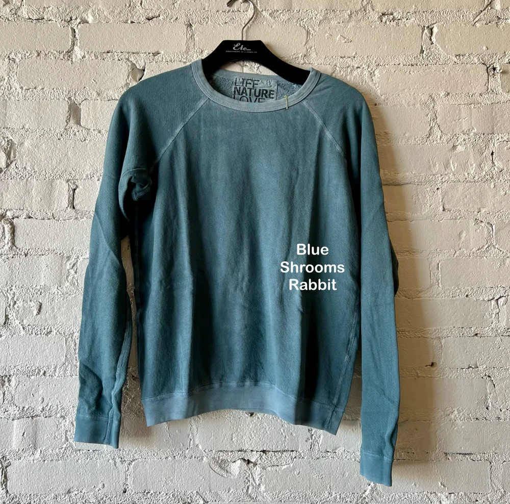 FreeCity Lucky Rabbits Raglan Crew Sweatshirt [MORE COLORS