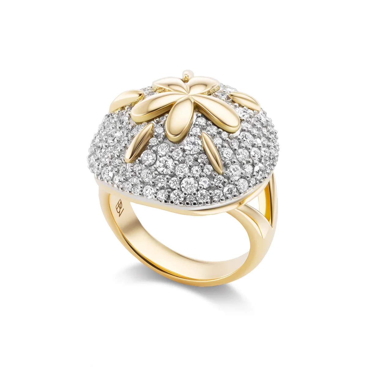 IMG_6019.webp