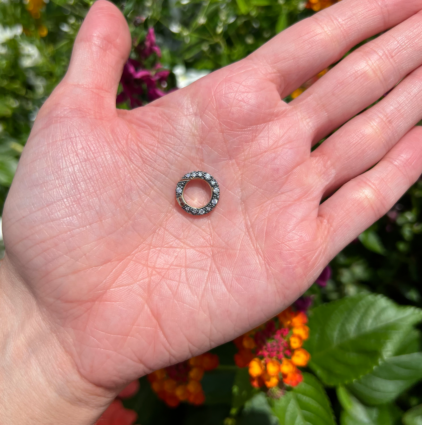 q79yodehv8ftjvbp9mjp.png (Copy)