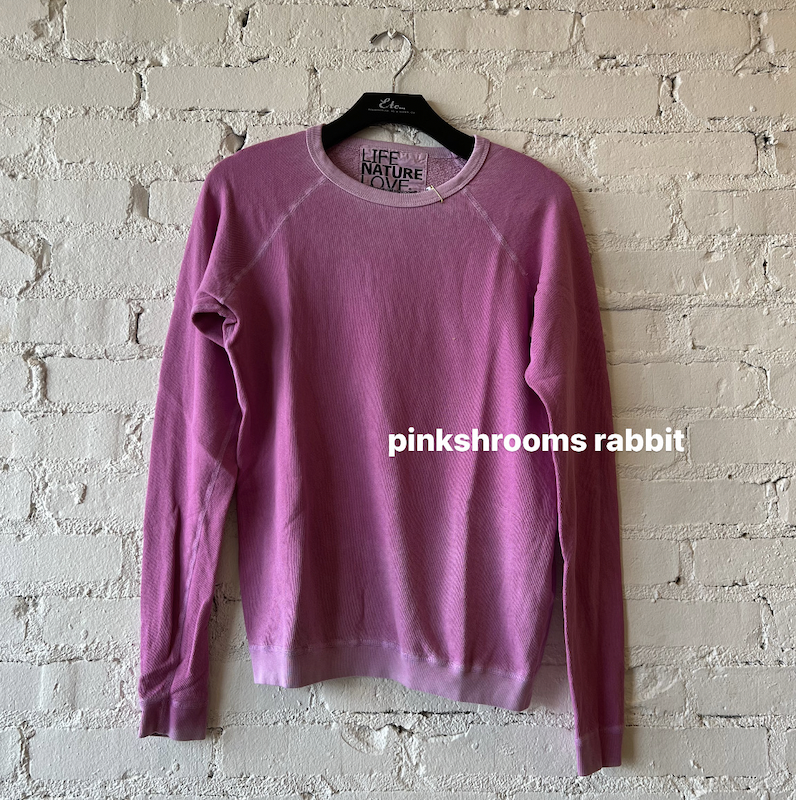 FreeCity Rabbit Raglan in Pinkshrooms
