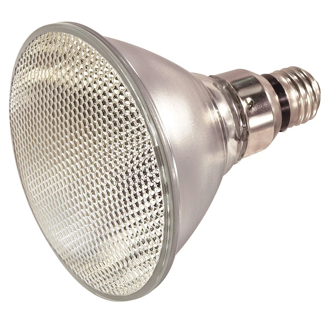 halogen bulb for bearded dragon