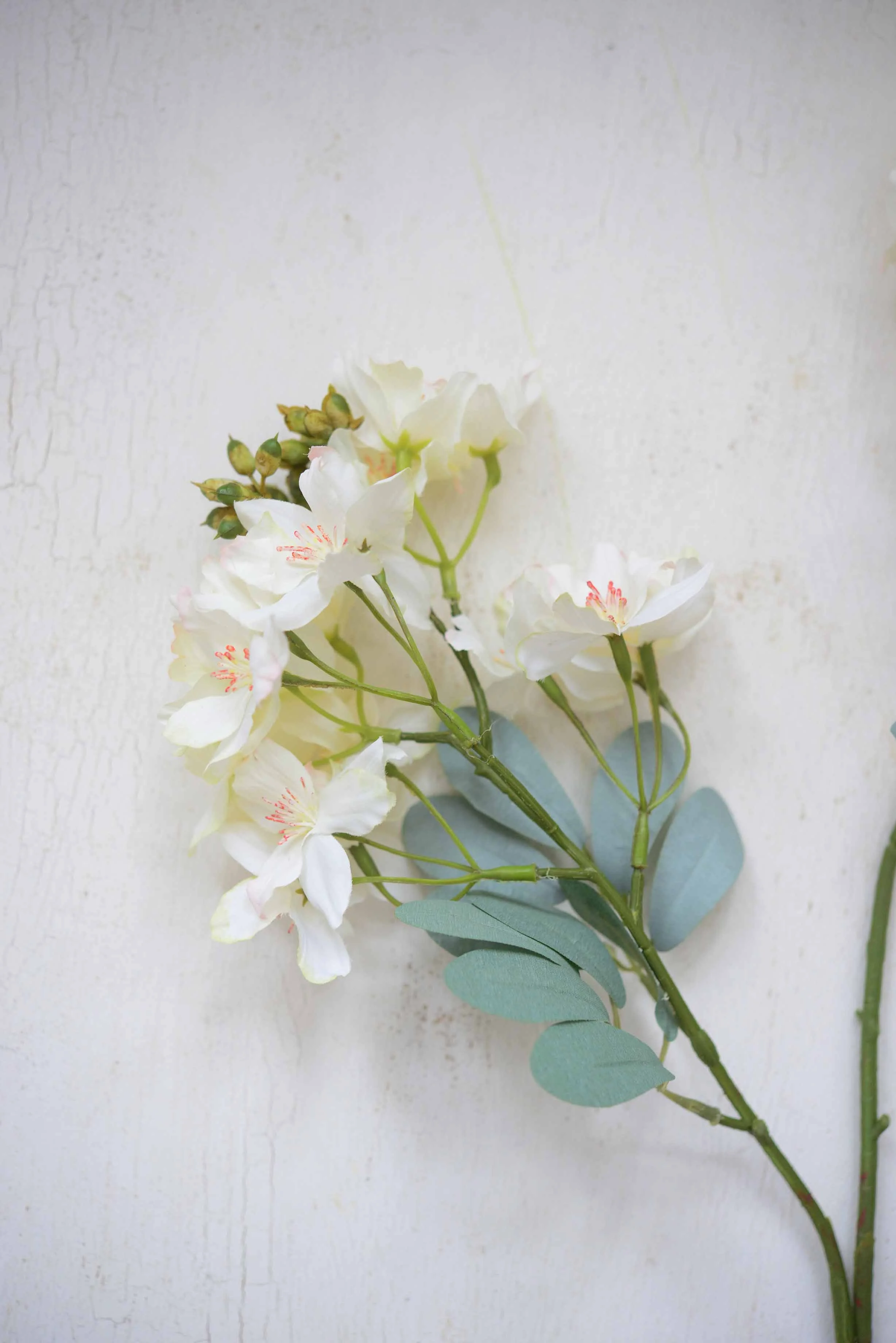 DSC_0377 copy for web.jpg