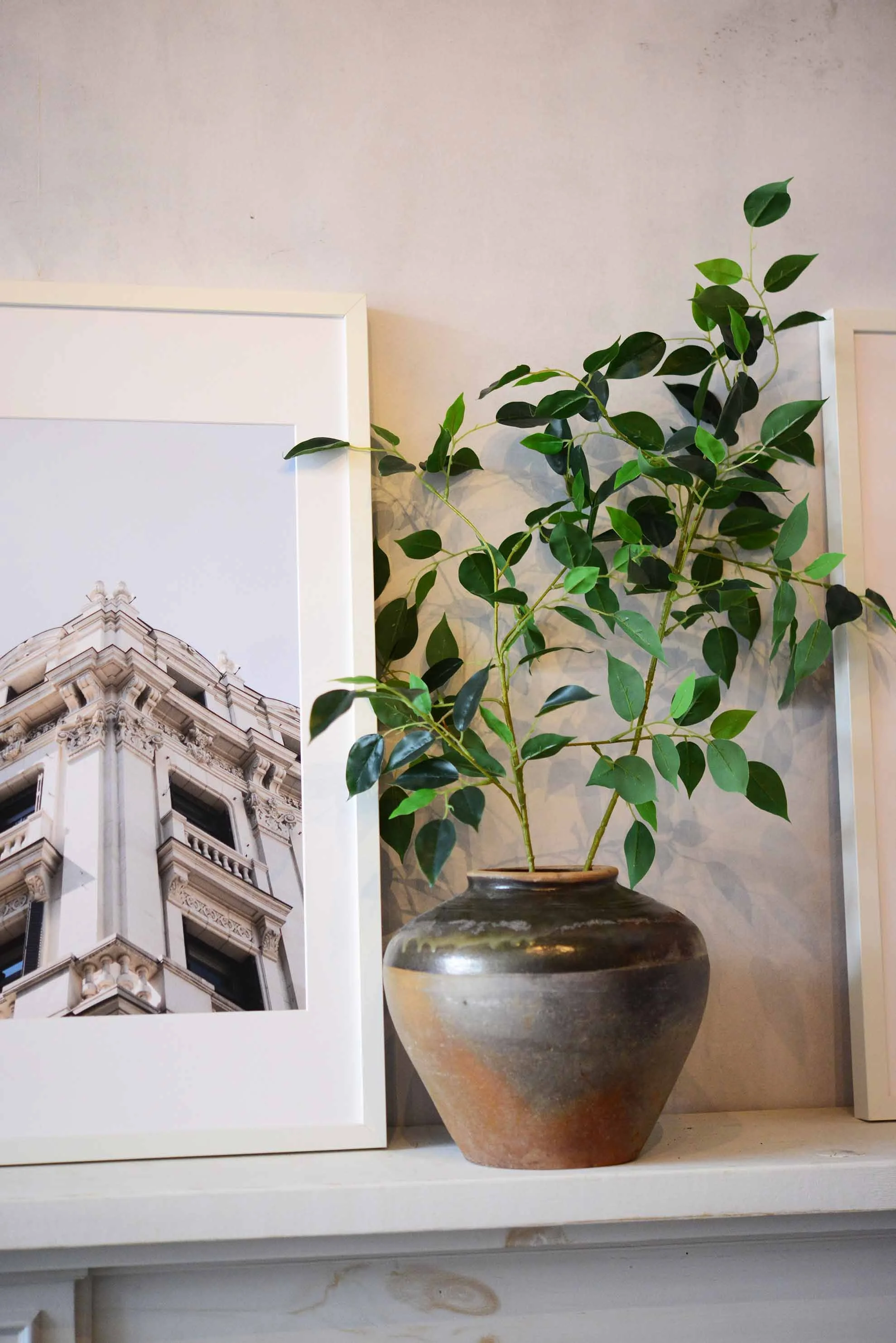 DSC_9828 copy for web.jpg