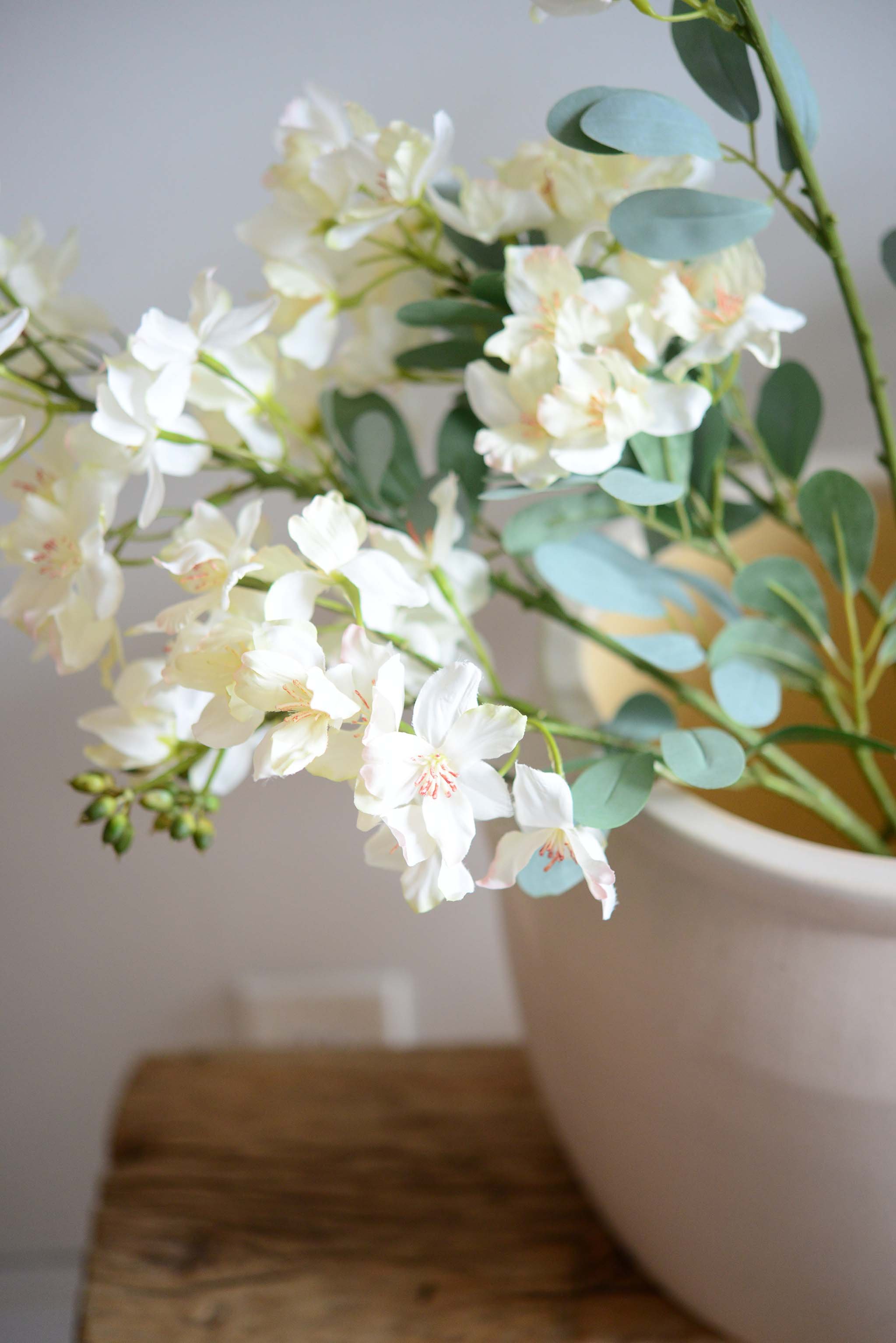 DSC_0336 copy for web.jpg