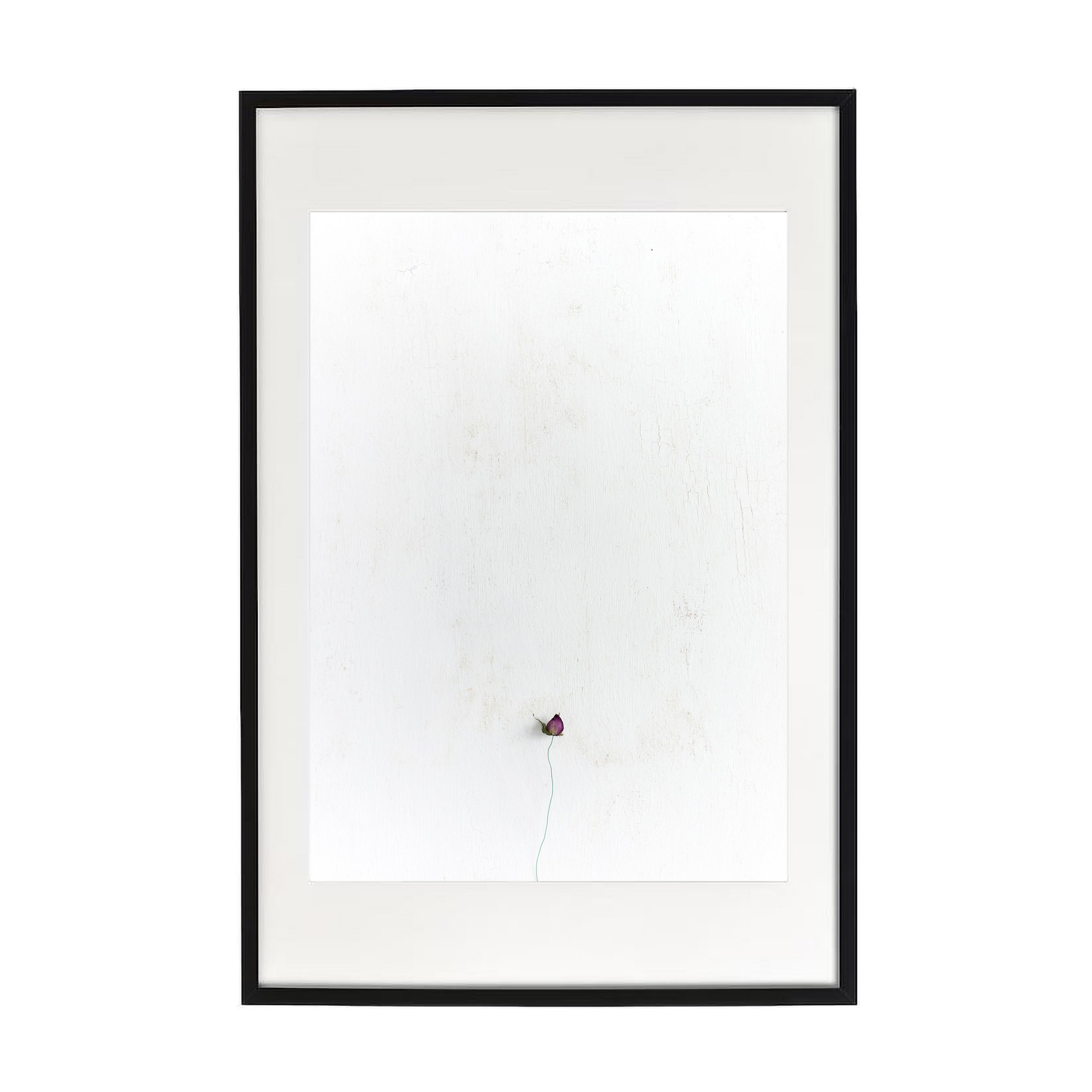 amor I black Frame.jpg
