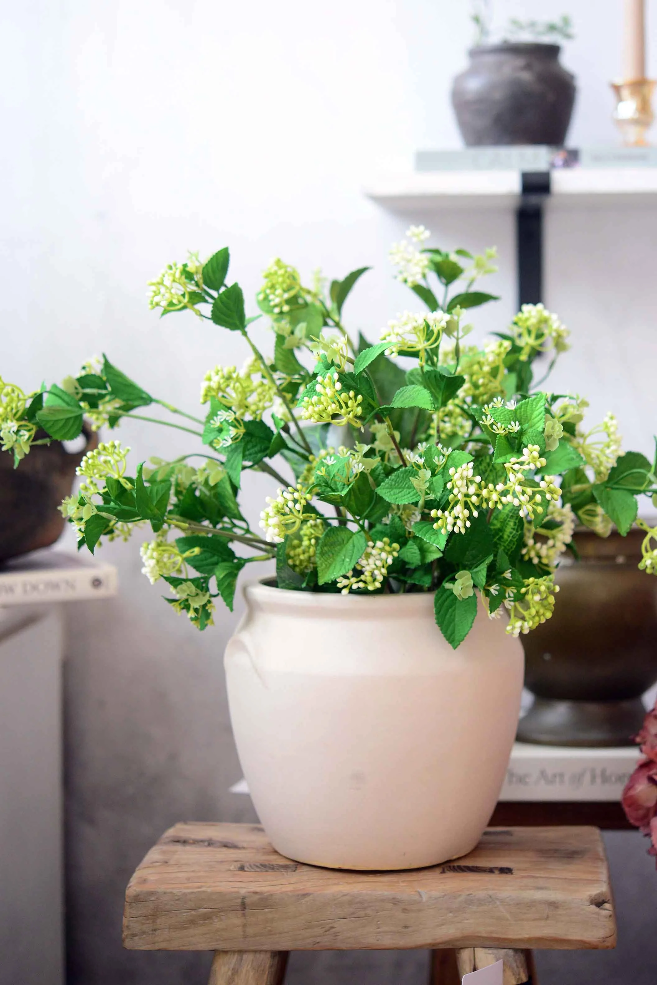 DSC_0285 copy 2 for web.jpg