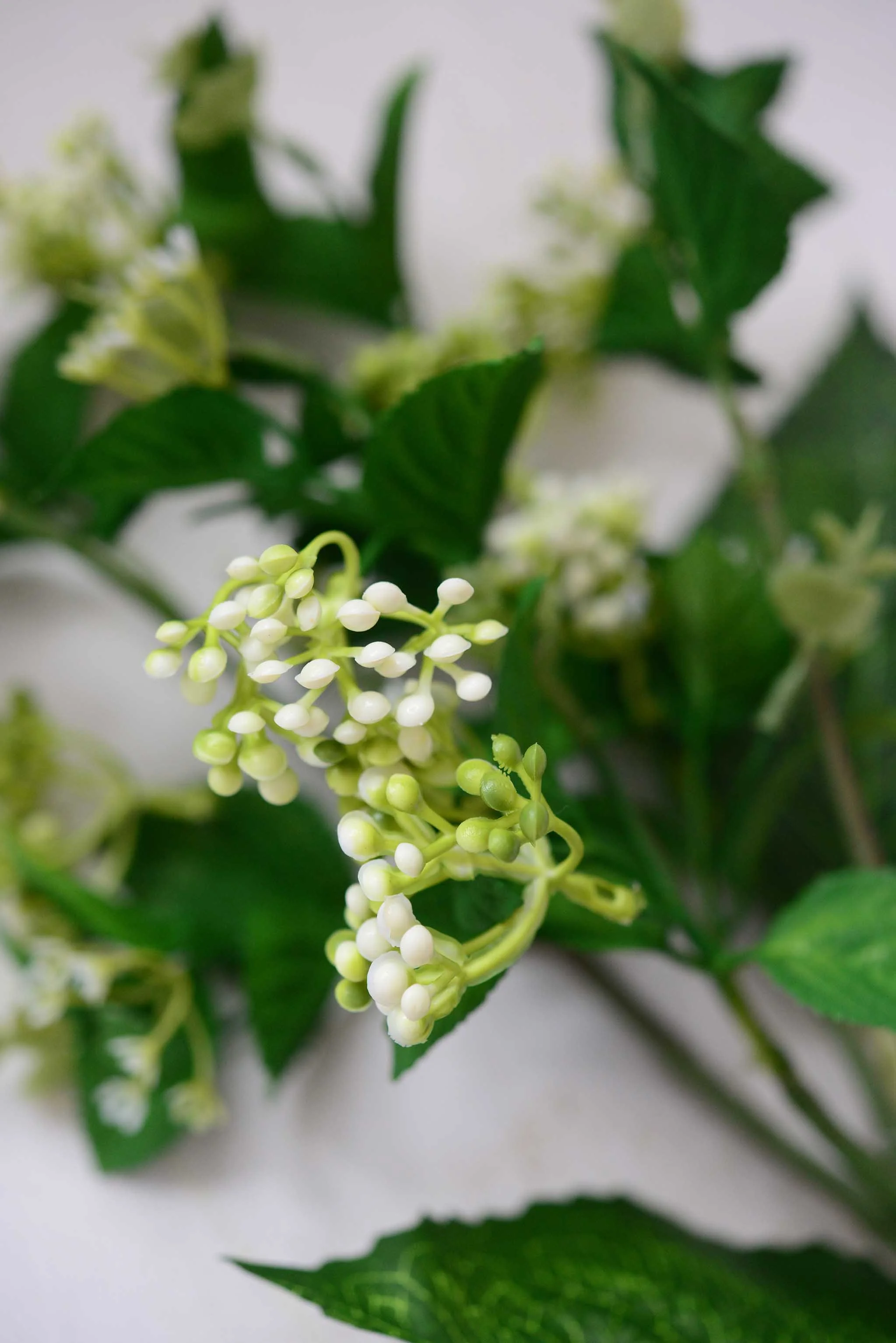 DSC_0392 copy for web.jpg