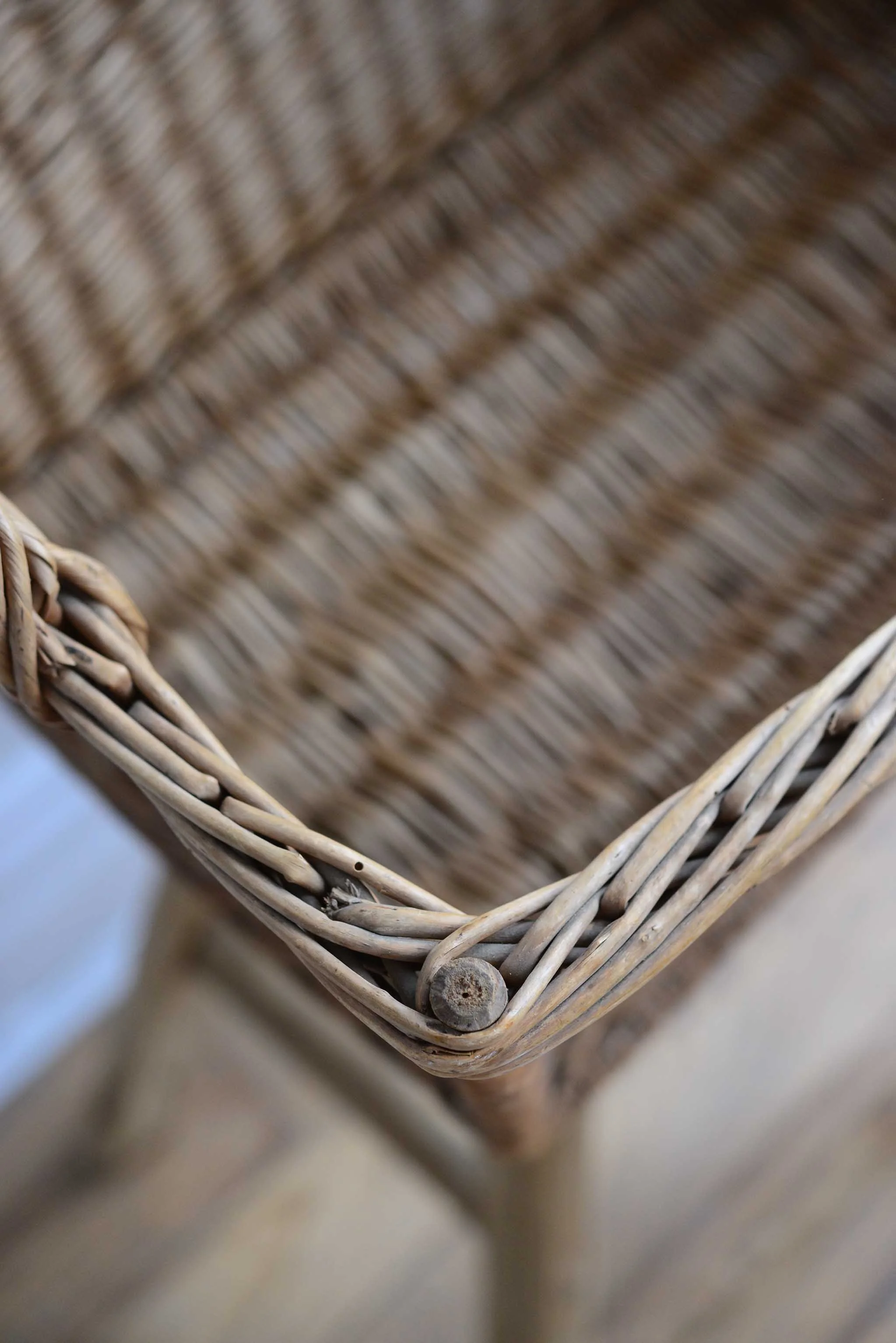 DSC_0223 copy for web.jpg