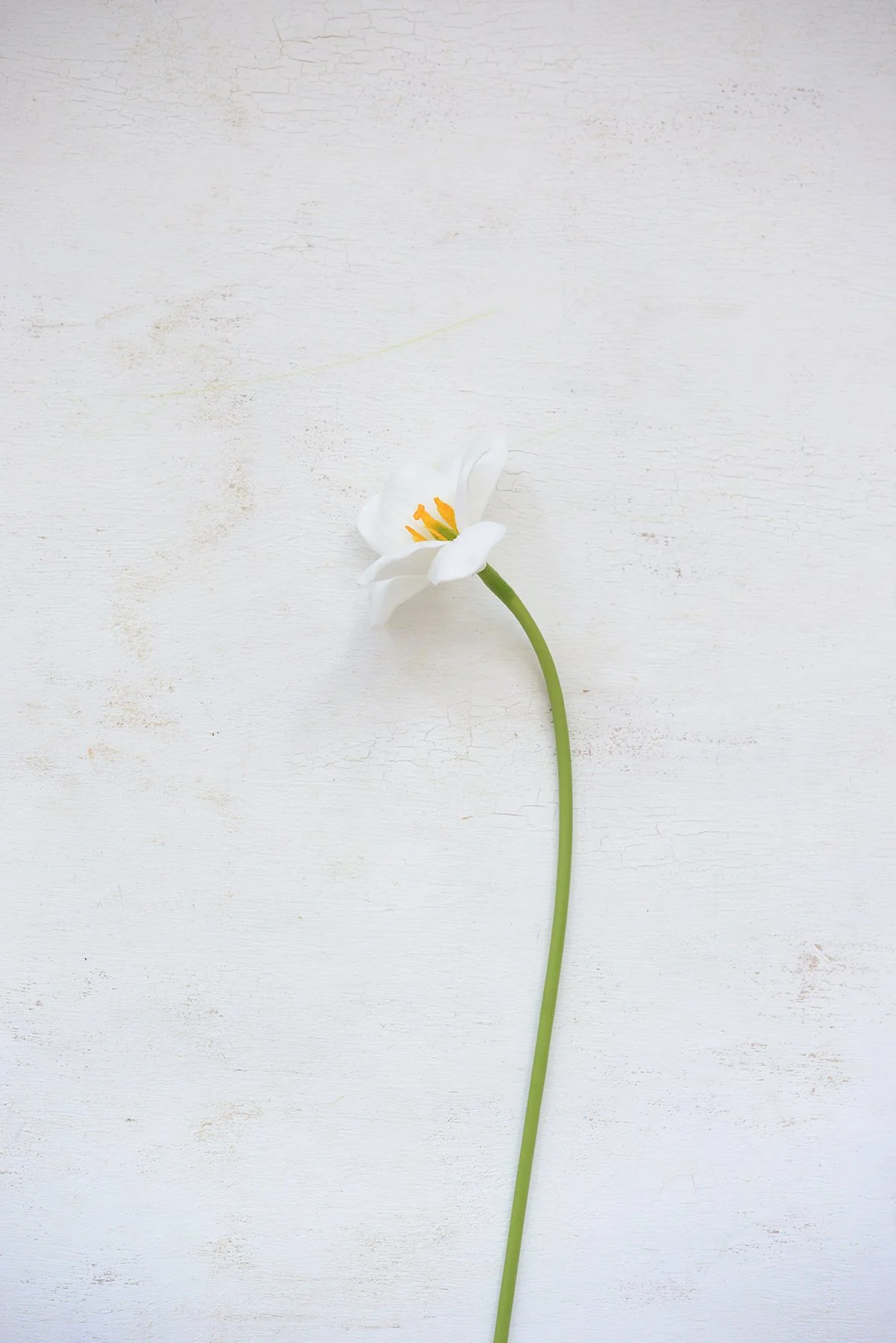 premium faux lily stem-004.jpg