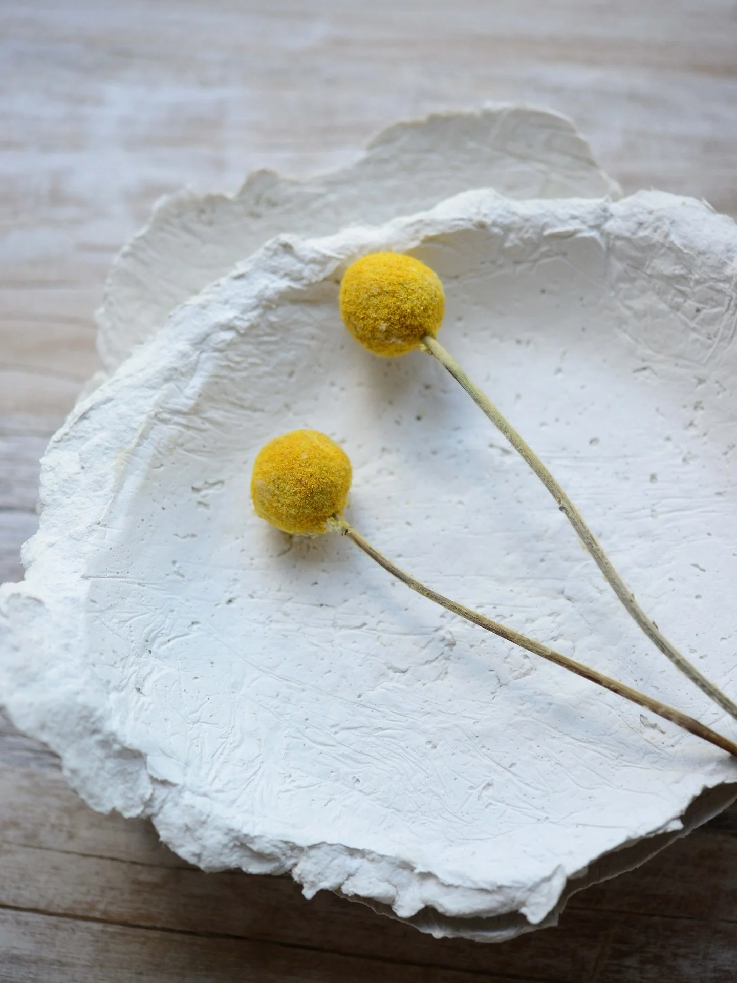 august. i may just love you most. 

new batch of handmade in house, one of a kind, papier mache pieces coming soon. 

#carefullycurated #thoughtfullycreated #homegoods #designwithintention #livebeautiful #liveinspired #whitehillhome
